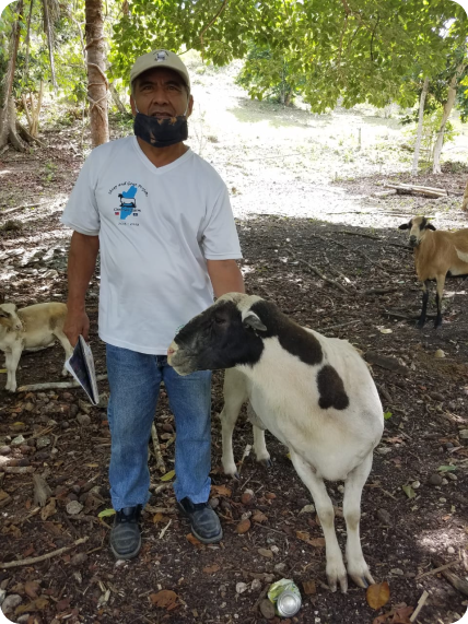 standing-with-sheep